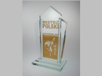 statuetka_v_tipromo_089.jpg