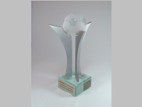 statuetka_v_tipromo_443.jpg