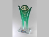 statuetka_v_tipromo_807.jpg